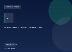 Permalink Manager Pro v2.5.3.6 - WordPress Plugin