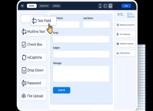 Bit Form Pro v2.14.4 - Ultimate Form Builder In WordPress