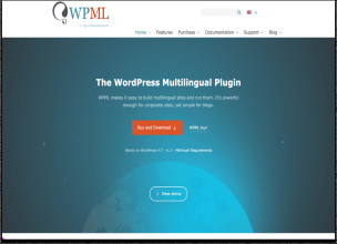 Advanced Custom Fields Multilingual v2.2.3