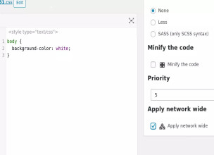 Simple Custom CSS and JS PRO v4.41