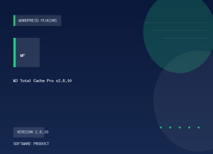 W3 Total Cache Pro v2.8.10