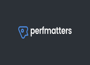Perfmatters v2.2.4 - Lightweight Performance Plugin