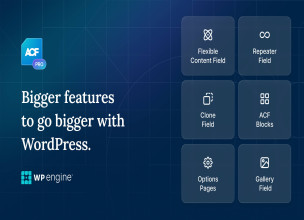 Advanced Custom Fields Pro v6.1.8