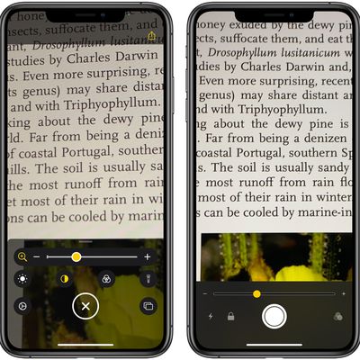 magnifier1