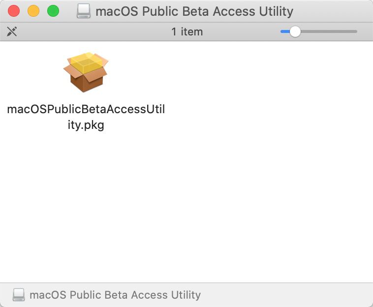 macospublicbetapkg